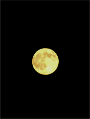 c0145183_641496.jpg