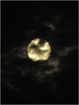 c0145183_642049.jpg