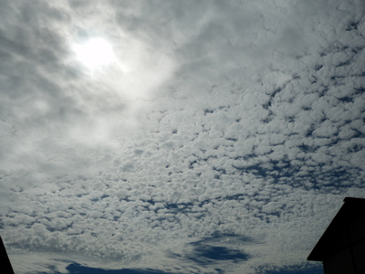 f0195891_15241982.jpg