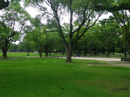 e0048994_11221848.jpg
