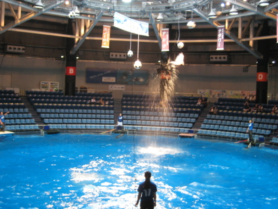 e0111595_115792.jpg