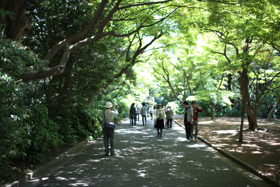 b0246308_2253996.jpg
