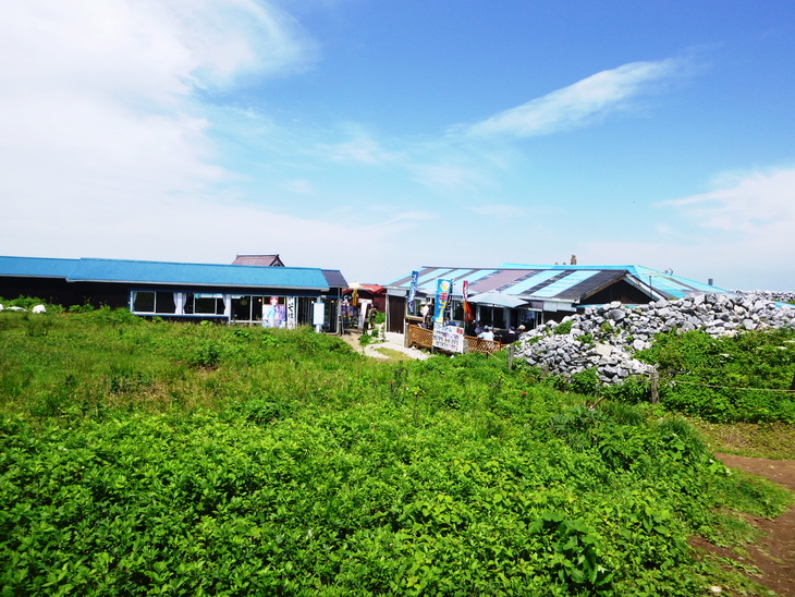 d0170615_11324494.jpg