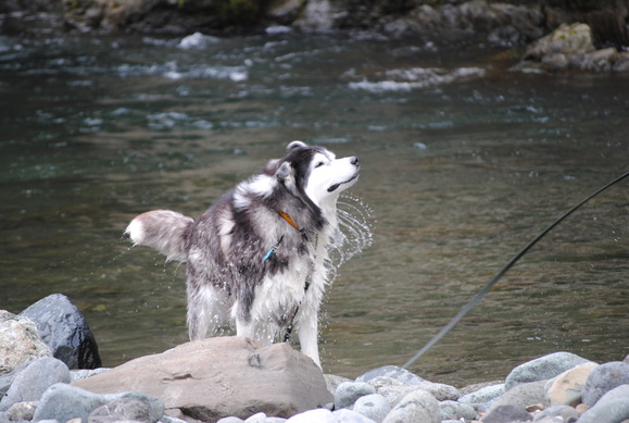 a0226620_022548.jpg