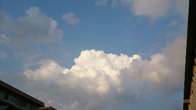 b0247823_21253459.jpg