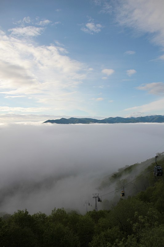 f0100825_2143680.jpg