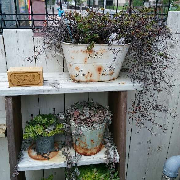 f0277327_15283477.jpg