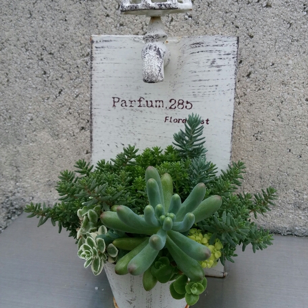 f0277327_15451915.jpg