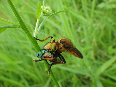 f0118332_21503232.jpg