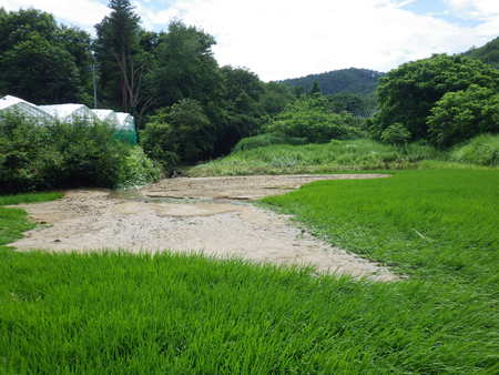 f0118332_2153856.jpg