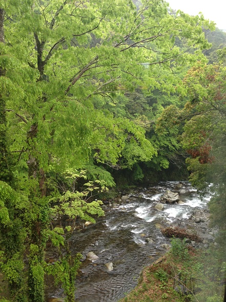 d0240442_1340548.jpg
