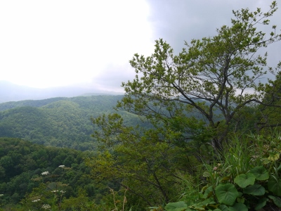 a0199247_9112037.jpg