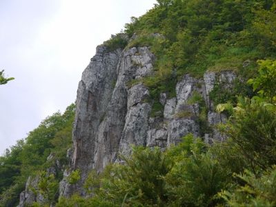 a0199247_9133396.jpg