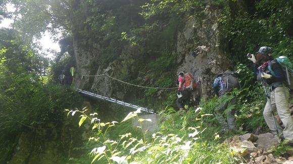 c0042847_1151665.jpg