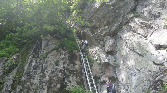 c0042847_1154614.jpg