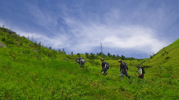 c0042847_1182685.jpg