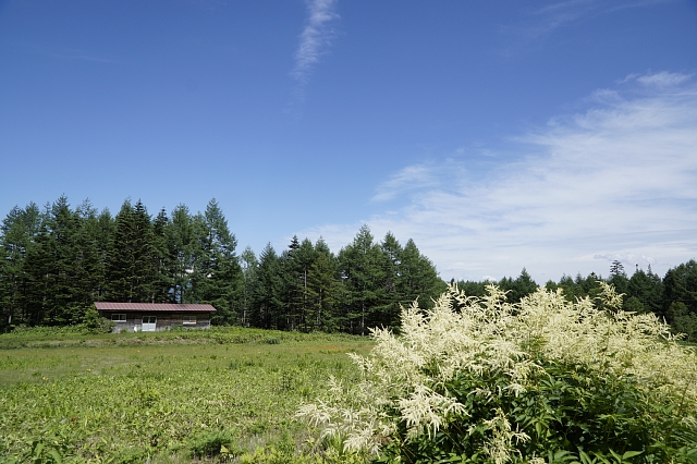 b0122448_920359.jpg