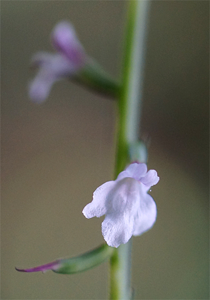 f0214649_1255431.jpg
