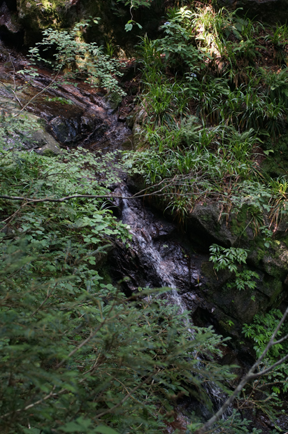 f0214649_1346779.jpg