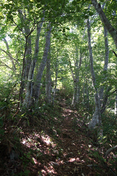 f0214649_14142628.jpg