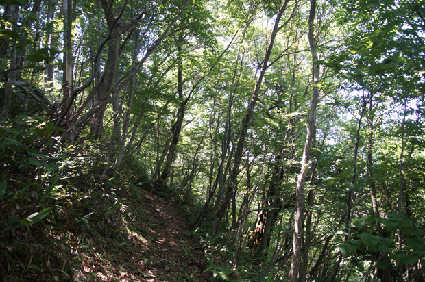 f0214649_1416312.jpg