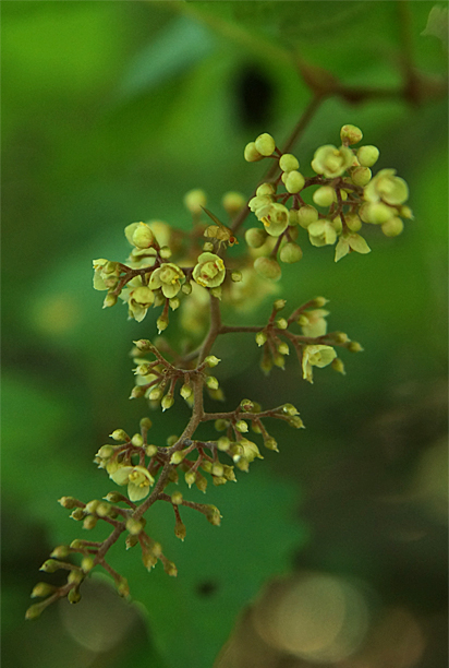 f0214649_1418577.jpg