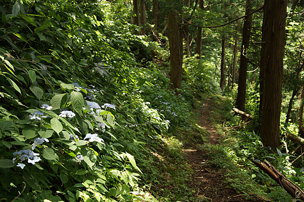 f0214649_1718278.jpg