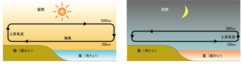 c0214359_2333977.jpg