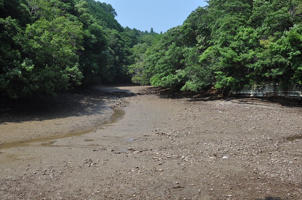 b0104861_18554820.jpg