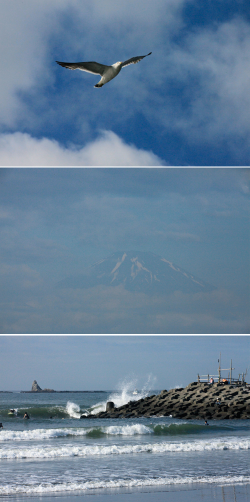 a0157069_631724.jpg