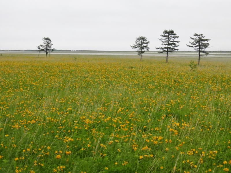c0183777_6121328.jpg