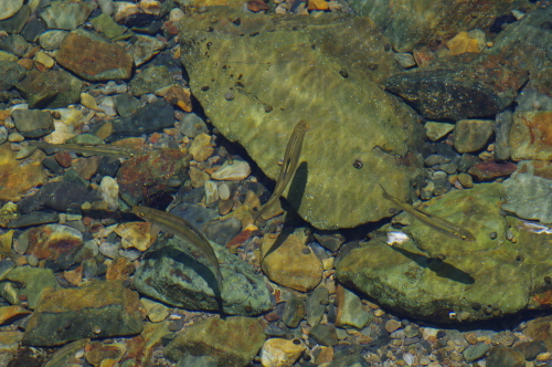 f0054677_10022883.jpg