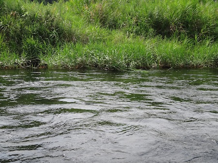 c0146788_9212070.jpg