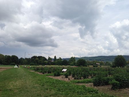 b0203203_2135617.jpg