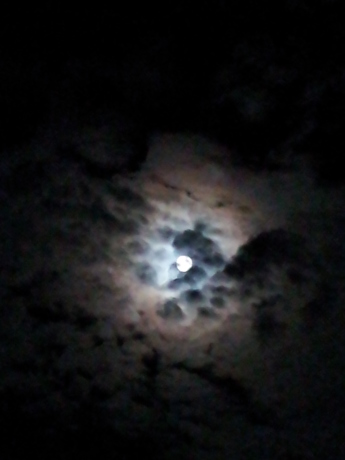 f0250403_00245095.jpg