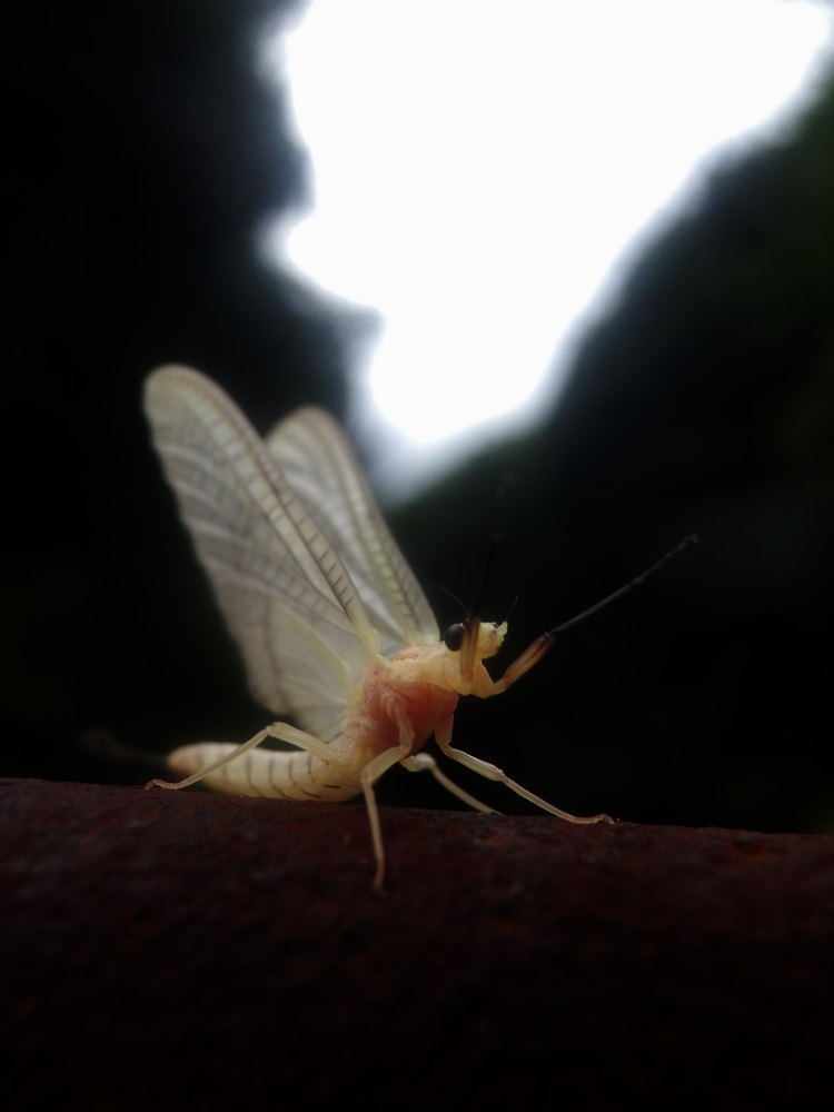 c0062511_2255424.jpg