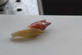 f0000211_227996.jpg