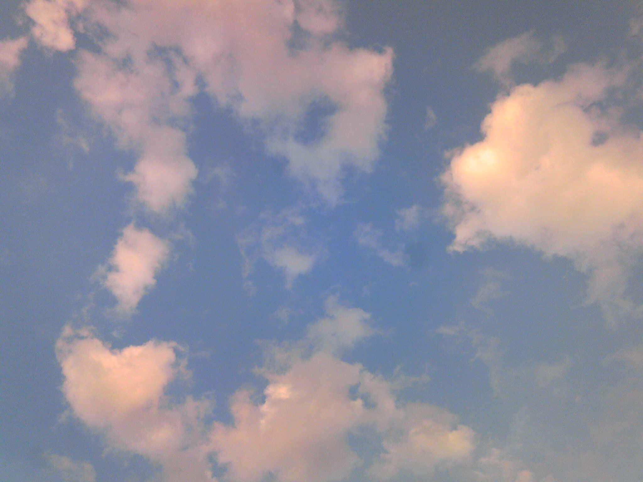 b0285619_16445854.jpg