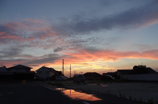 f0000521_232886.jpg