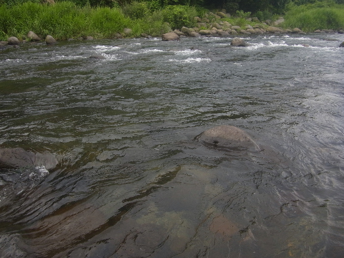 f0103126_21145297.jpg