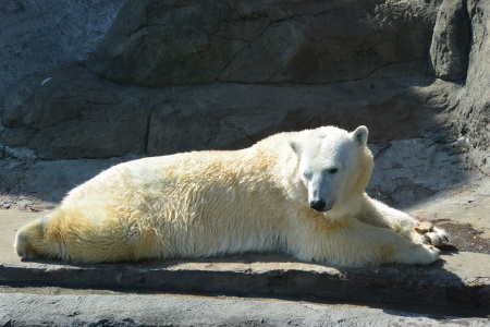 f0344626_23230276.jpg