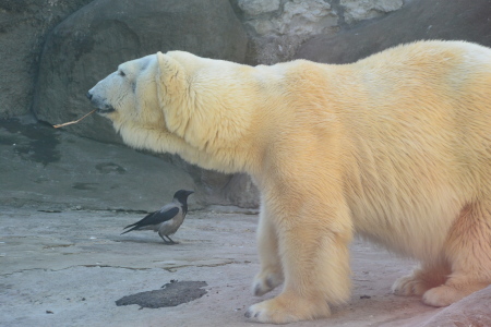 f0344626_23275748.jpg