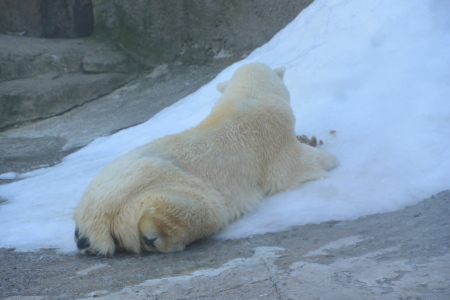 f0344626_23370881.jpg