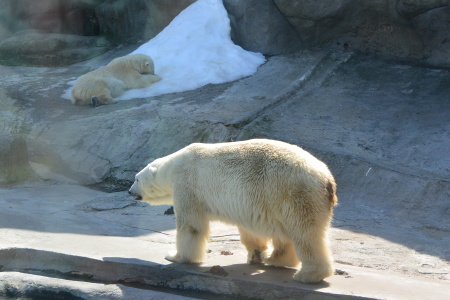 f0344626_23382934.jpg