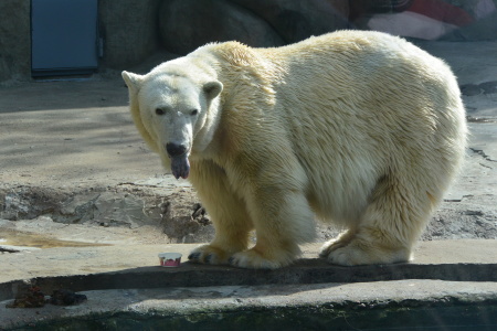 f0344626_23482749.jpg