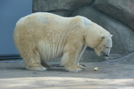 f0344626_23490770.jpg