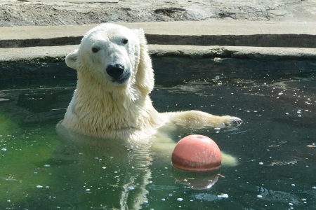 f0344626_23502873.jpg