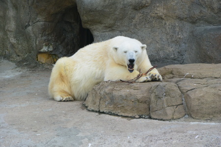f0344626_23520913.jpg
