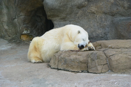 f0344626_23521668.jpg