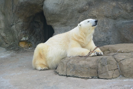 f0344626_23522650.jpg